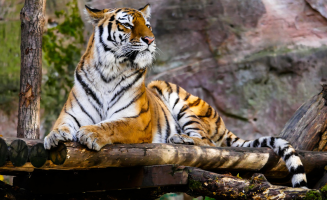 West Bengal